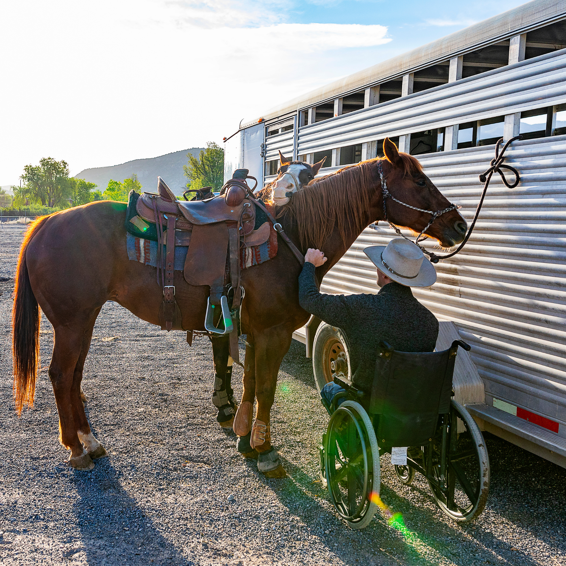 Individual in wheelchair touching a horse